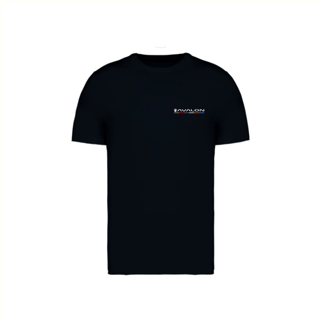 Avalon T Shirt maat L zwart
