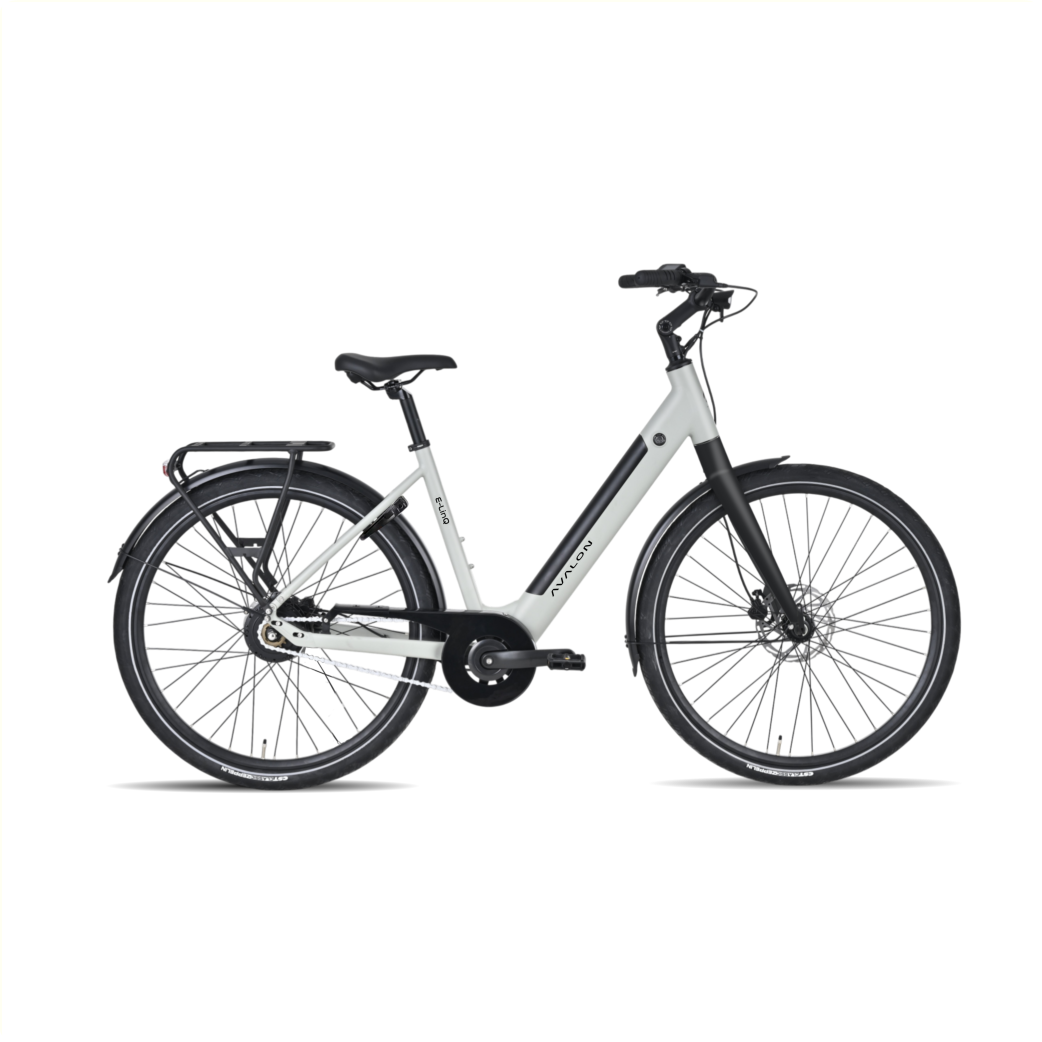 Avalon E-LINQ Dames 50cm, mat salie grijs
