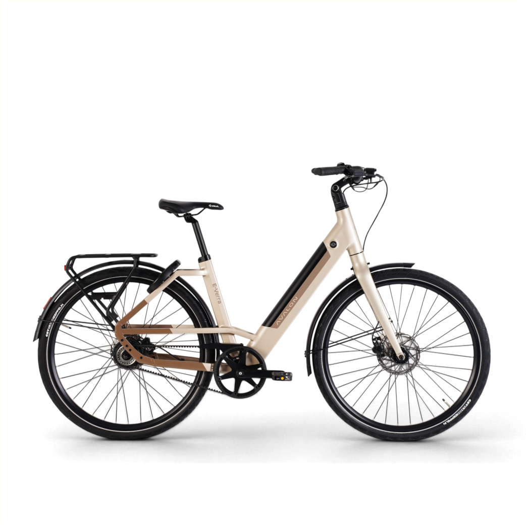 E-Verra D50 champagne